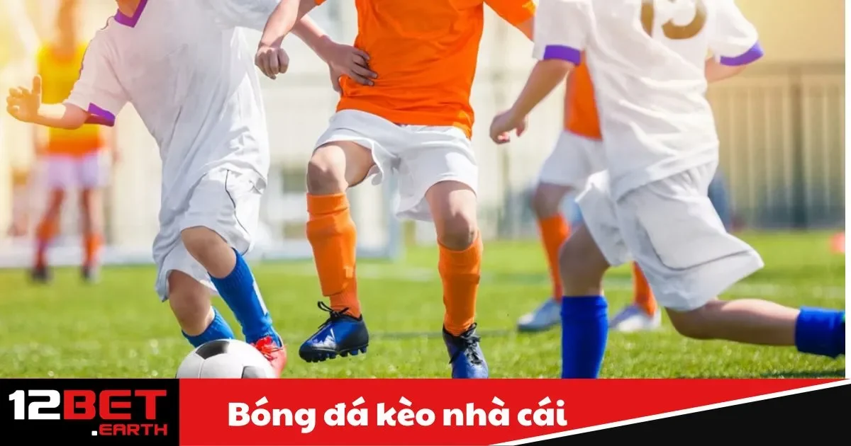 Bóng Đá Kèo Nhà Cái Là Gì? Cách Đọc Kèo Hiệu Quả